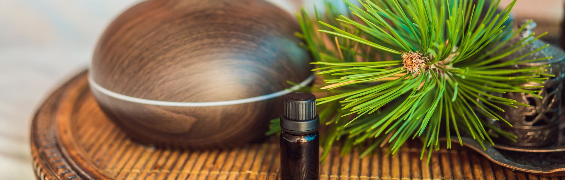 Cómo aromatizar tu casa de forma natural