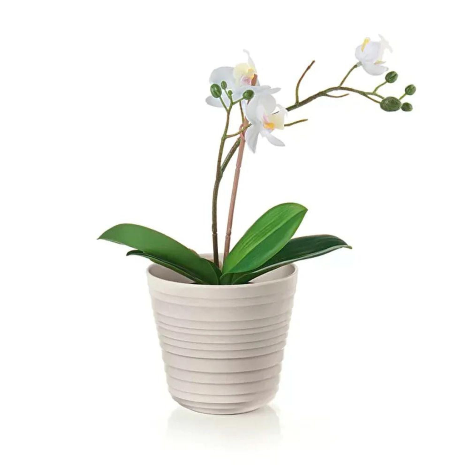 Macetero 'Tierra' Single Plant Latte Guzzini®