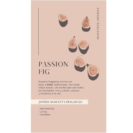 Home Spray Passion Fig Terra 500 ml Madison