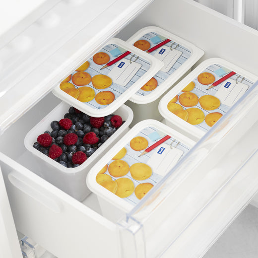 Set 4 contenedores plásticos para refrigerador Domino 1Lt Rotho®