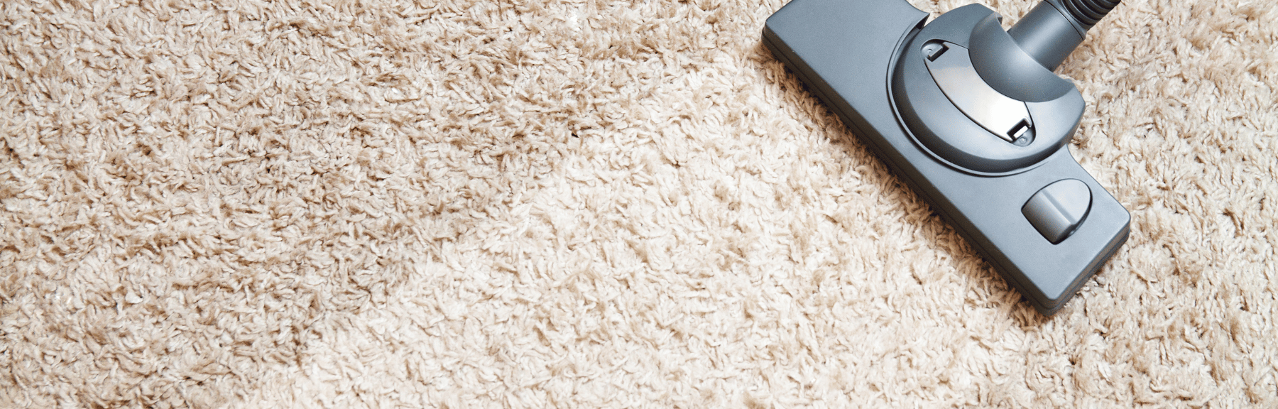 Cómo limpiar alfombras en tu casa