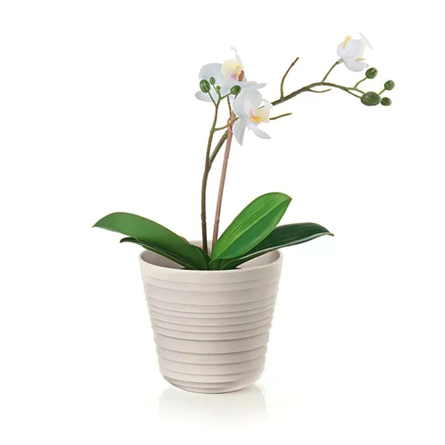 Macetero 'Tierra' Single Plant Blanco Guzzini®