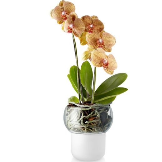 Macetero para Orquídeas Autorregante 15cm Eva Solo®