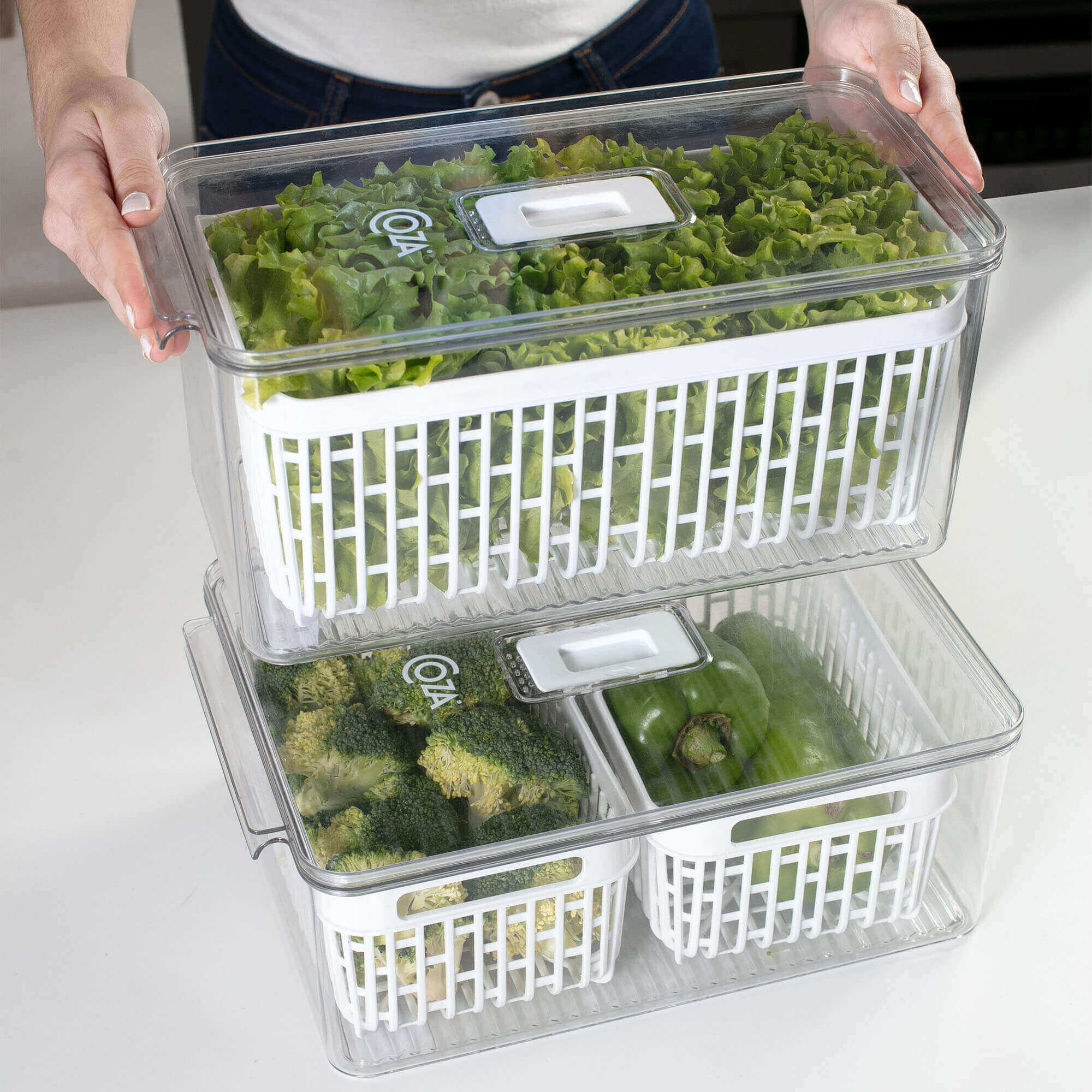 Organizador de Refrigerador con Cesta 6 Litros Dry Cristal Coza®