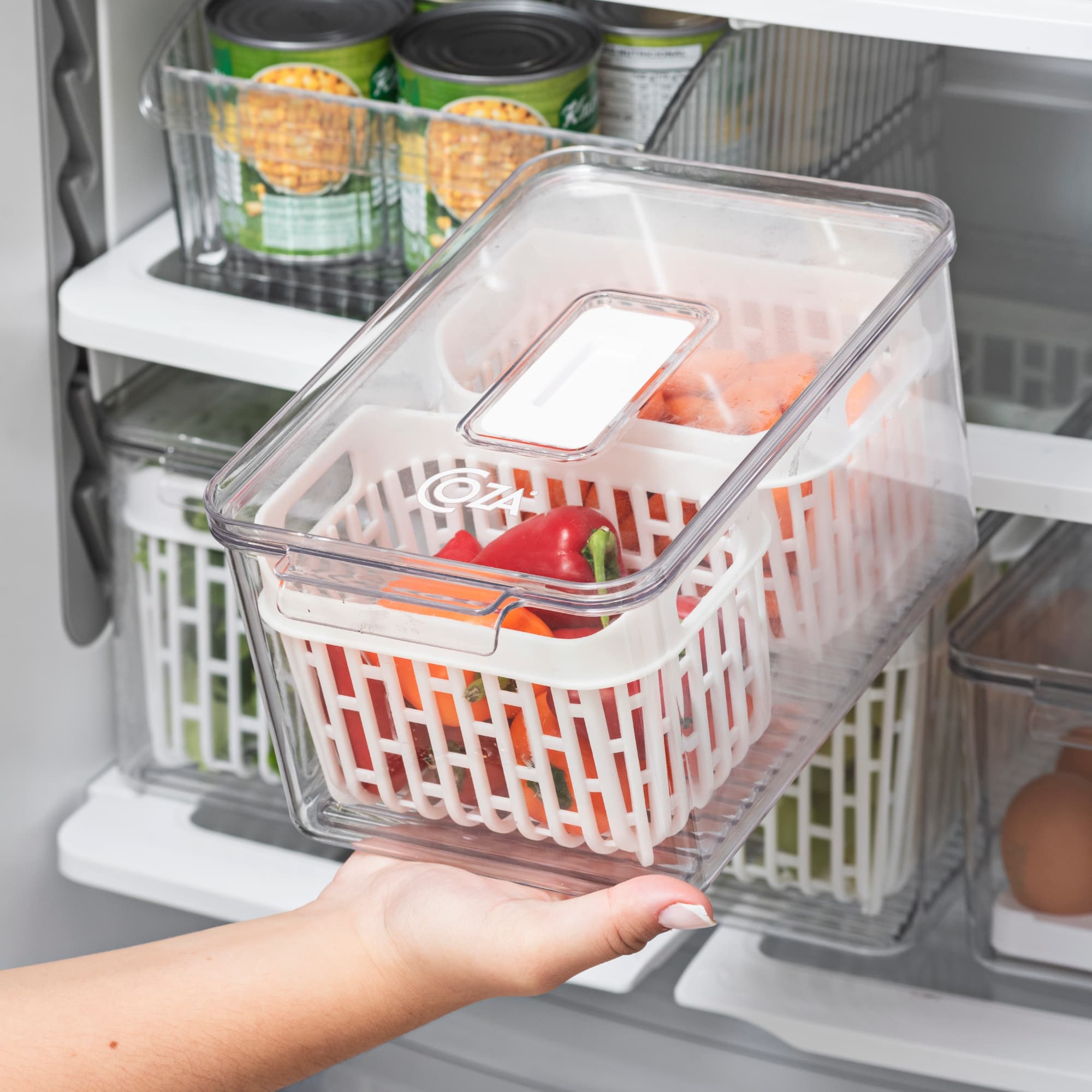 Organizador de Refrigerador Dry 3,2 Litros con 2 Cestas Coza®