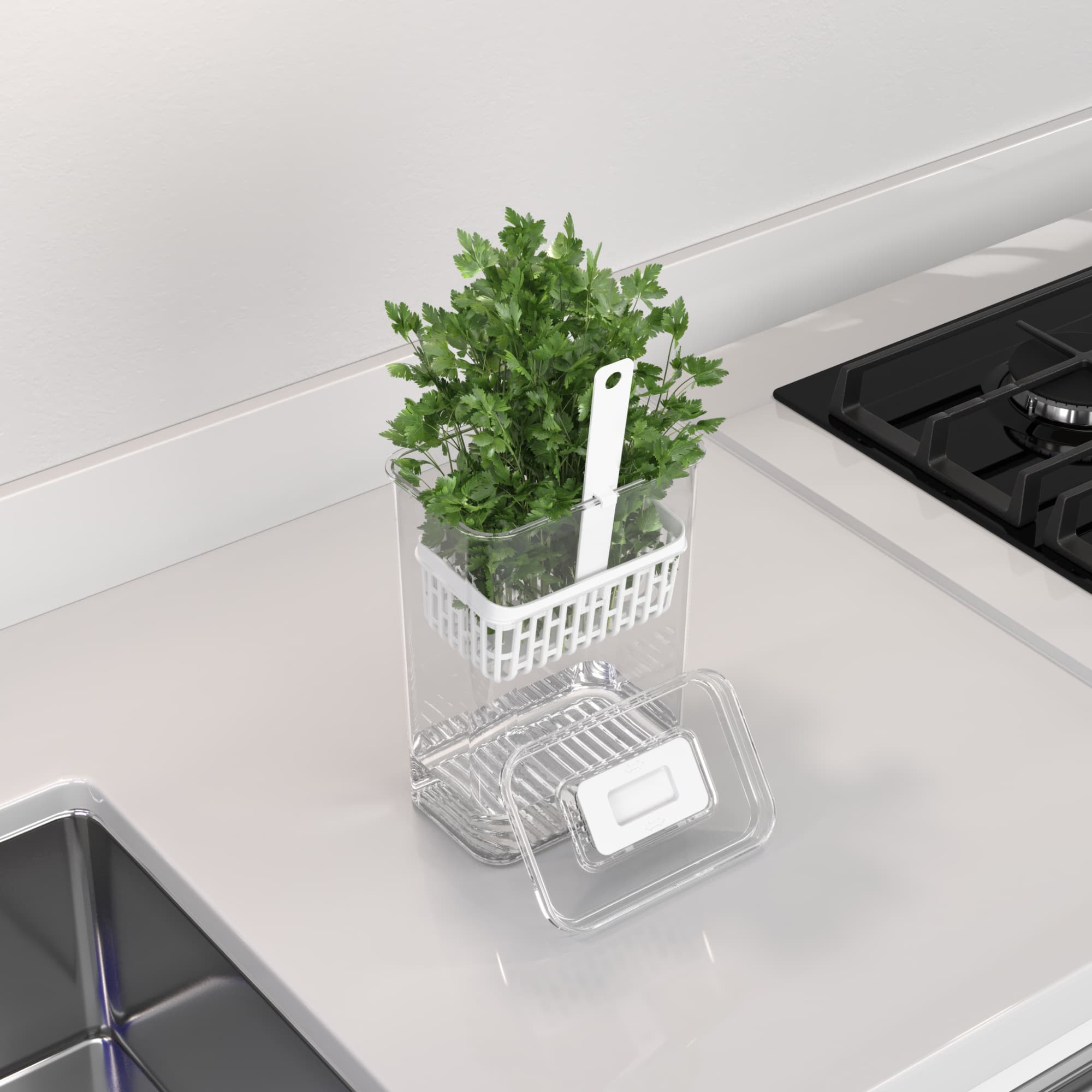 Organizador para Especias Frescas Dry 2,3 Litros Cristal Coza®