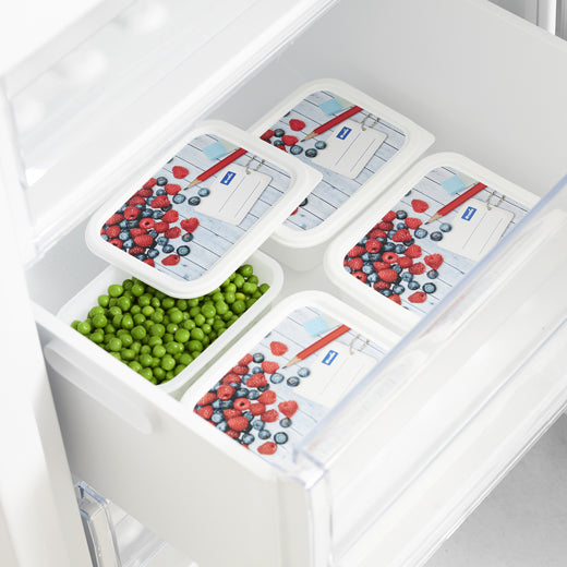 Set 4 contenedores plásticos para refrigerador Domino 0,5Lts Rotho®